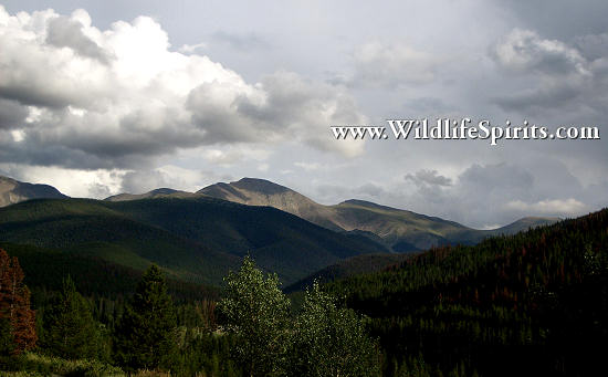 Click Picture to send as an  E-PostCard 66k 550x341